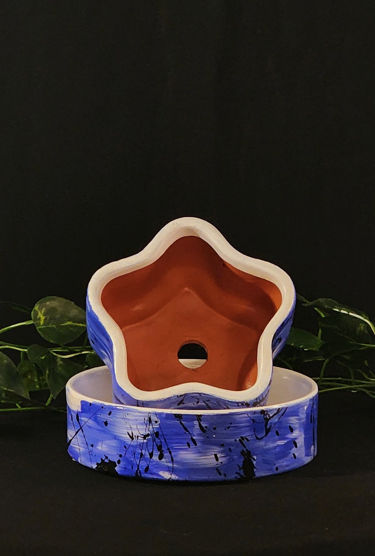 🌟 Star-Shaped Hand-Painted Ceramic Planter