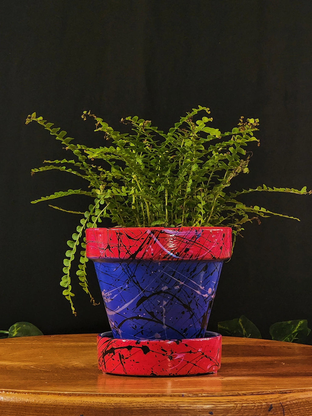 🎨 Abstract Splatter Hand-Painted Flower Pot